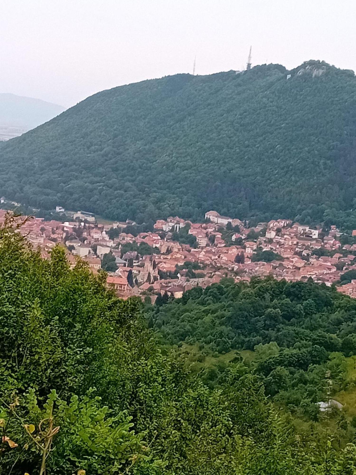 Cosy Hideaway Apartment Brasov Ngoại thất bức ảnh